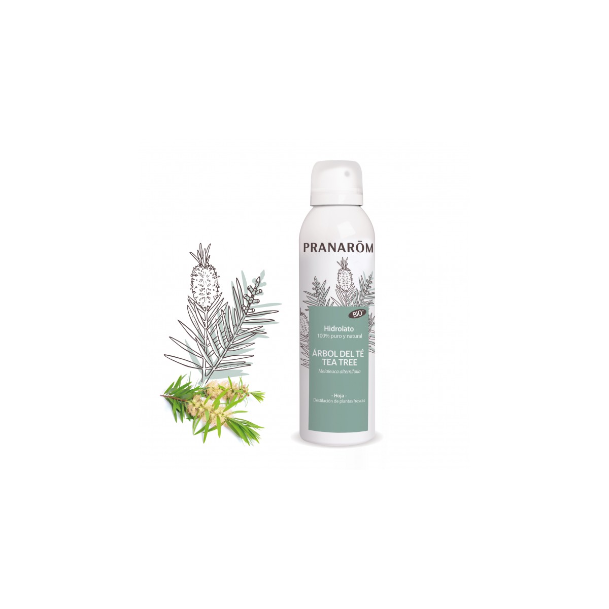 PRANAROM Hidrolato de ÁRBOL DEL TÉ 150 ml